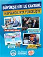 Büyükşehir ile Kayseri, hayvancılıkta yükselişte