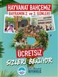 Hayvanat Bahçesi bayramda ücretsiz