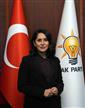 AK Parti Genel Başkan Yardımcısı Tuncer: "Suya sahip çıkmak, geleceğe sahip çıkmaktır"