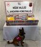Niğde’deki kaçakçılık operasyonuna çok sayıda kaçak ürün ele geçirildi