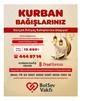 Bolu’da kurban bağışı skandalı; paralar toplandı, tek bir kurban bile kesilmedi iddiası