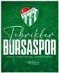 Cumhurbaşkanı Erdoğan’dan Bursaspor’a tebrik mesajı