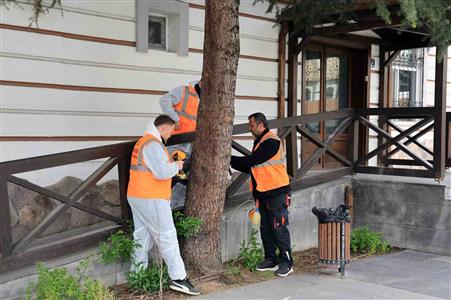 Talas’tan çevre dostu ilaçlama atağı