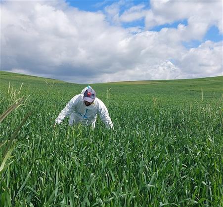 Yozgat’ta süne mücadelesi başladı