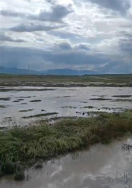 Günyüzü’de aşırı yağış sonucunda sel meydana geldi