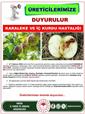 Üreticilere karaleke ve iç kurdu uyarısı