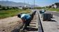 Niğde Belediyesi’nden kent genelinde yol ve altyapı seferberliği