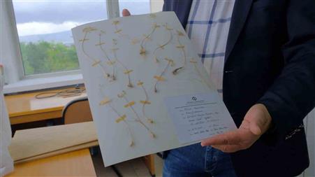 Anadolu Üniversitesi’nden dünya literatürüne iki yeni endemik tür