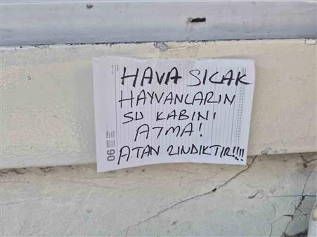 Sokak hayvanlarının su kabını atanlara ilginç tepki: "Atan zındıktır"
