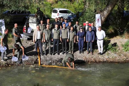 Ecemiş Çayı’na 15 bin alabalık yavrusu bırakıldı