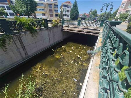 Porsuk Çayı’ndaki çöp kirliliği dikkat çekti