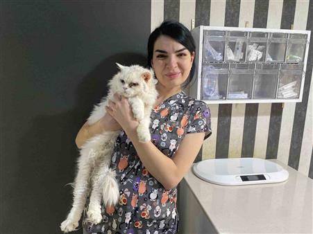 Evcil hayvanlarınızı evde tek bırakırken dikkat