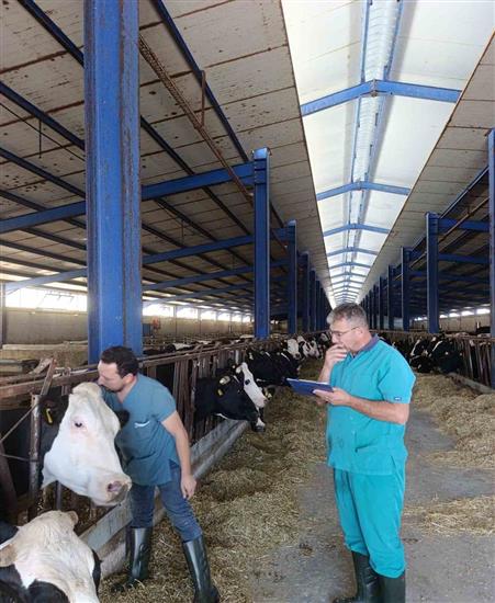 Karapınar’da hastalıktan ari işletmelerde tüberküloz taraması
