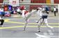 Taekwondo Doğu Grubu Müsabakaları Sivas’ta yapıldı