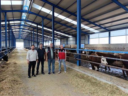 Karapınar’da ithal besilik sığırlara sıkı denetim