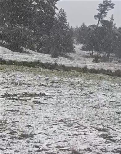 Eskişehir Alpu ilçesinde kar yağışı etkili oldu