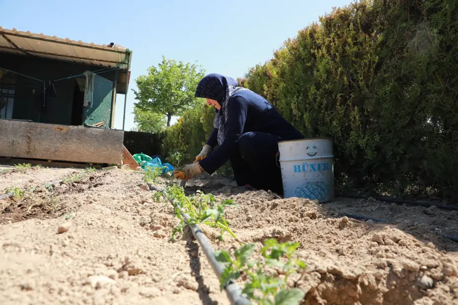 Karatay Hobi Bahçeleri'nde Üretim Sezonu Başladı