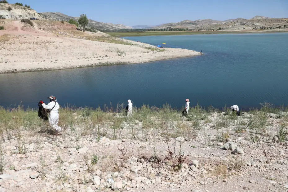 Altınapa Barajı'nda 8,5 Ton Atık Toplandı: Doğa Temizliği Seferberliği