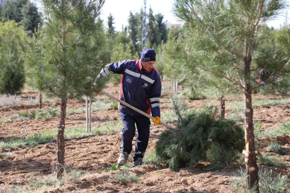  İlçe Genelindeki Tüm Yeşil alanlar Yaza Hazırlanıyor