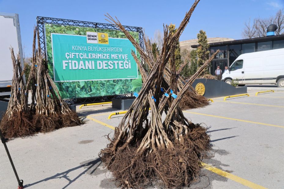 Konya Büyükşehir Tarımsal Kalkınma İçin Bu Sezon 72 bin Meyve Fidanı Dağıtıyor