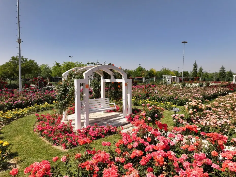 Karatay Mevlana Gül Parkı Kapılarını Açtı