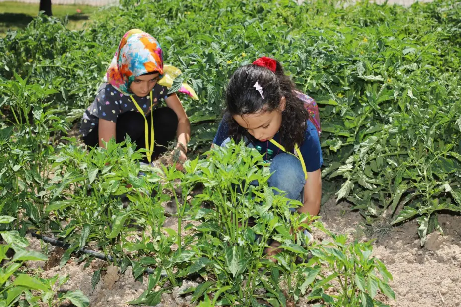 Başkan Kılca, Tabiat Mektebi Yaz Okulu'nda Öğrencilerle Buluştu