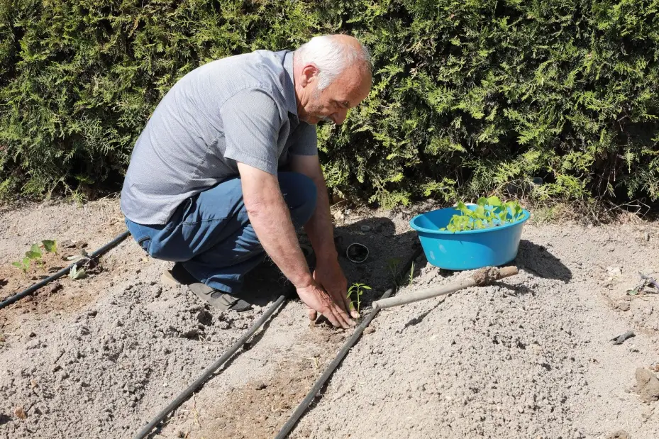 Karatay Hobi Bahçeleri'nde Üretim Sezonu Başladı