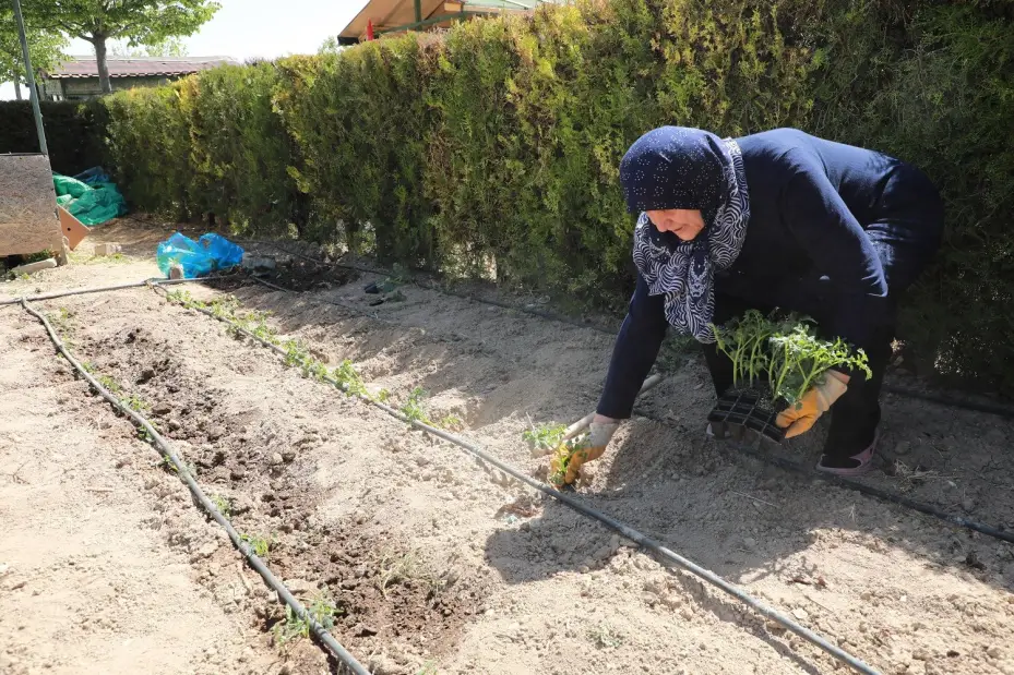 Karatay Hobi Bahçeleri'nde Üretim Sezonu Başladı