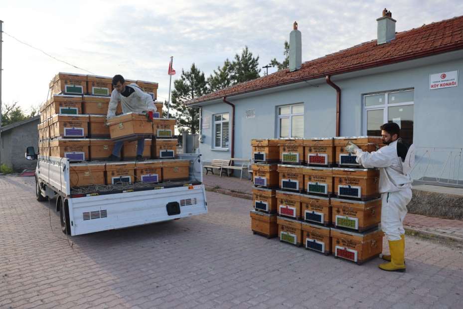 Arılı Kovan Desteği Projesi'nin 3.Yılında Üreticilerin Arı ve Kovanları Dağıtıldı