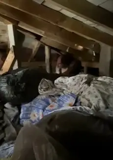 Farklı suçlardan aranan şahıs çatı katında yakalandı 