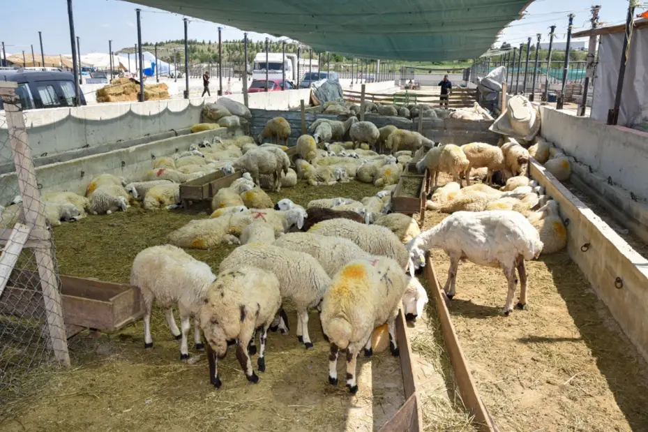 Selçuklu Belediyesi Bayram Öncesi Hazırlıklarını Tamamladı