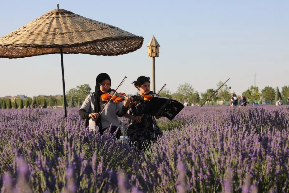 Karatay'ın Mor Güzelliği Rekorla Taçlandı
