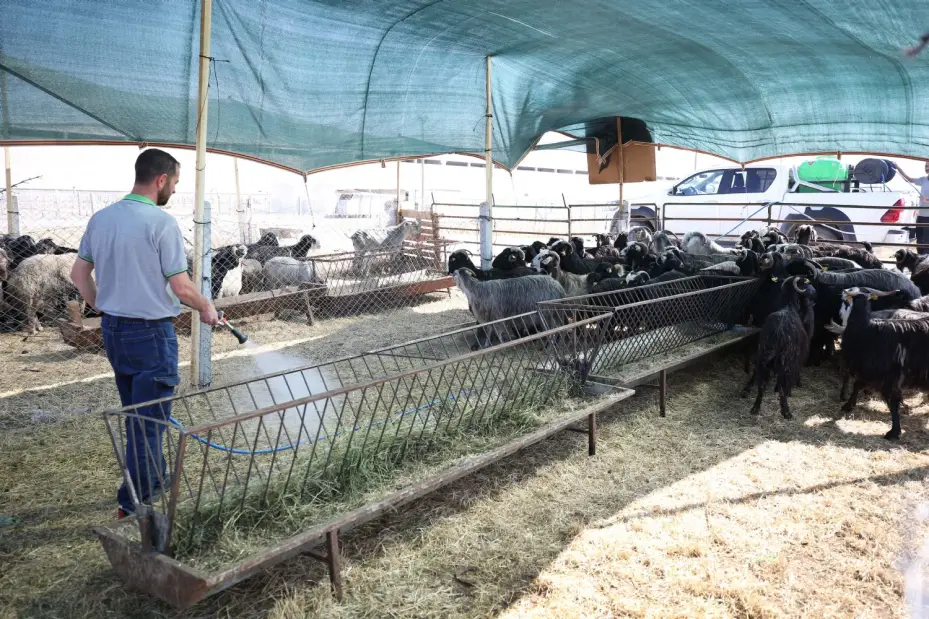 Kurban Bayramı'nda Meram'da Hizmet Seferberliği