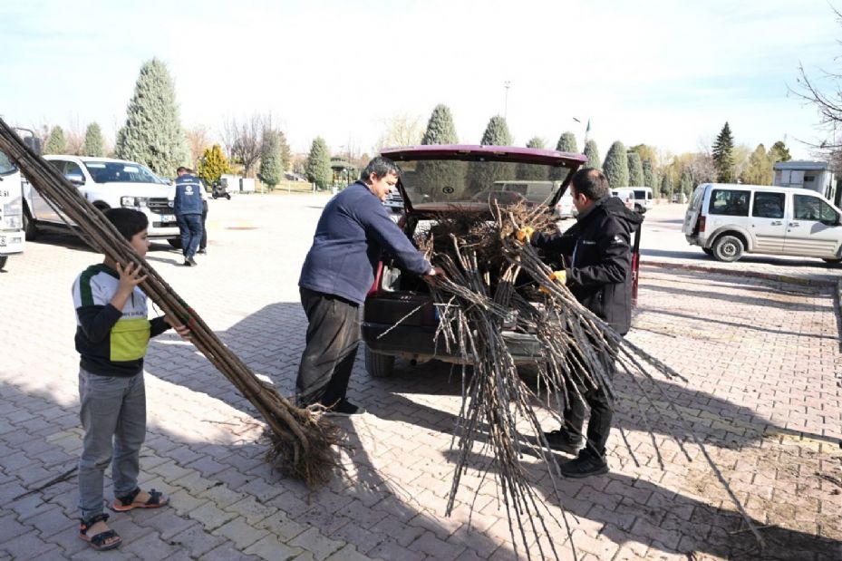 Konya Büyükşehir Tarımsal Kalkınma İçin Bu Sezon 72 bin Meyve Fidanı Dağıtıyor