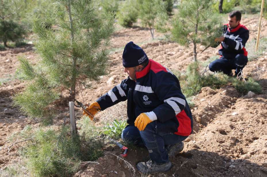  İlçe Genelindeki Tüm Yeşil alanlar Yaza Hazırlanıyor