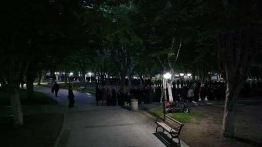 Bu da domates fidesi kuyruğu