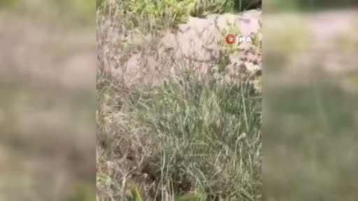 Dede ile torunu fotoğraf çektirirken Ihlara Vadisi Melendiz Çayı’na düştü