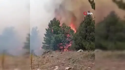 Konya’da orman yangını