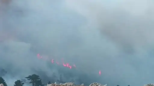 Konya’da orman yangını devam ediyor