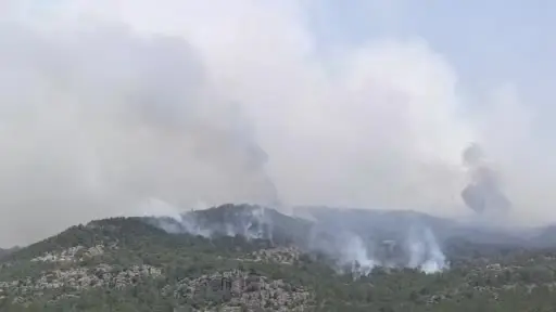 Sarıcıova’da orman yangınına müdahale sürüyor