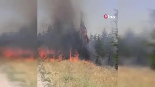 Trafodan çıkan yangında 50 dönüm tarım arazisi kül oldu