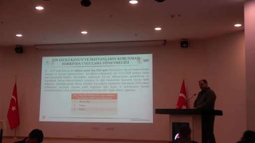 Sokağa bırakılan hayvan başına 71 bin 965 TL idari para cezası uygulanacak