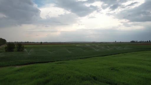 Konya Ovası’nda toprak suya doymadı