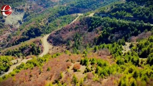 Eskişehir, kadınlar sayesinde roka üretiminde Türkiye birincisi