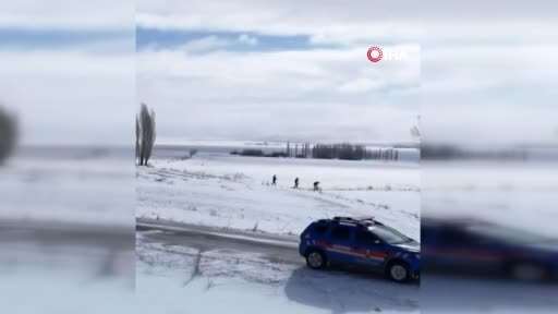 Jandarmadan yaban hayvanlarına yem desteği