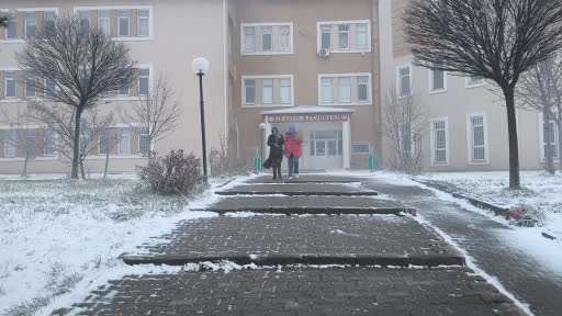 Sivas’ta kar ve tipi etkili oldu