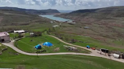 Türkülere konu olan madımak hasadı başladı
