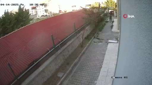 Hayvanları öldürdüğü gerekçesiyle tutuklanan zanlının, yavru köpeği tekmelediği anların görüntüsü ortaya çıktı