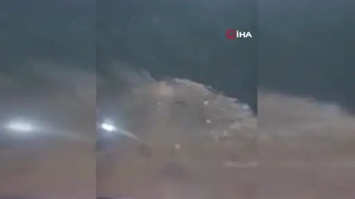 Kayseri’de ayılar arı kovanlarına saldırdı