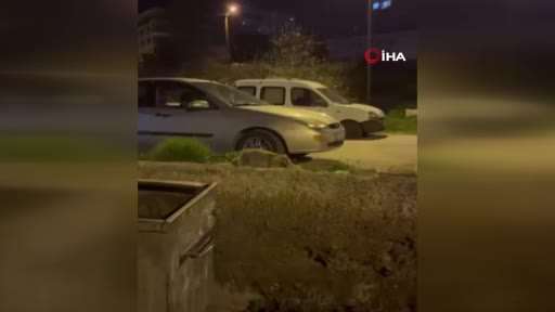 Ankara’da aç kalan tilki şehre indi